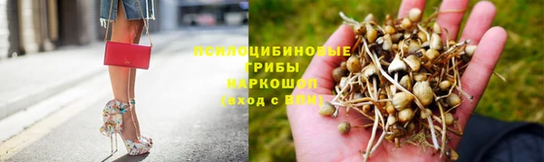 прущие крисы Абинск