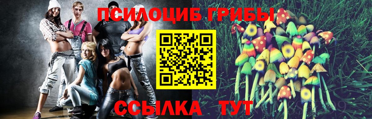 Ртищево  Галлюциногенные грибы Magic Shrooms  Вход с VPN 